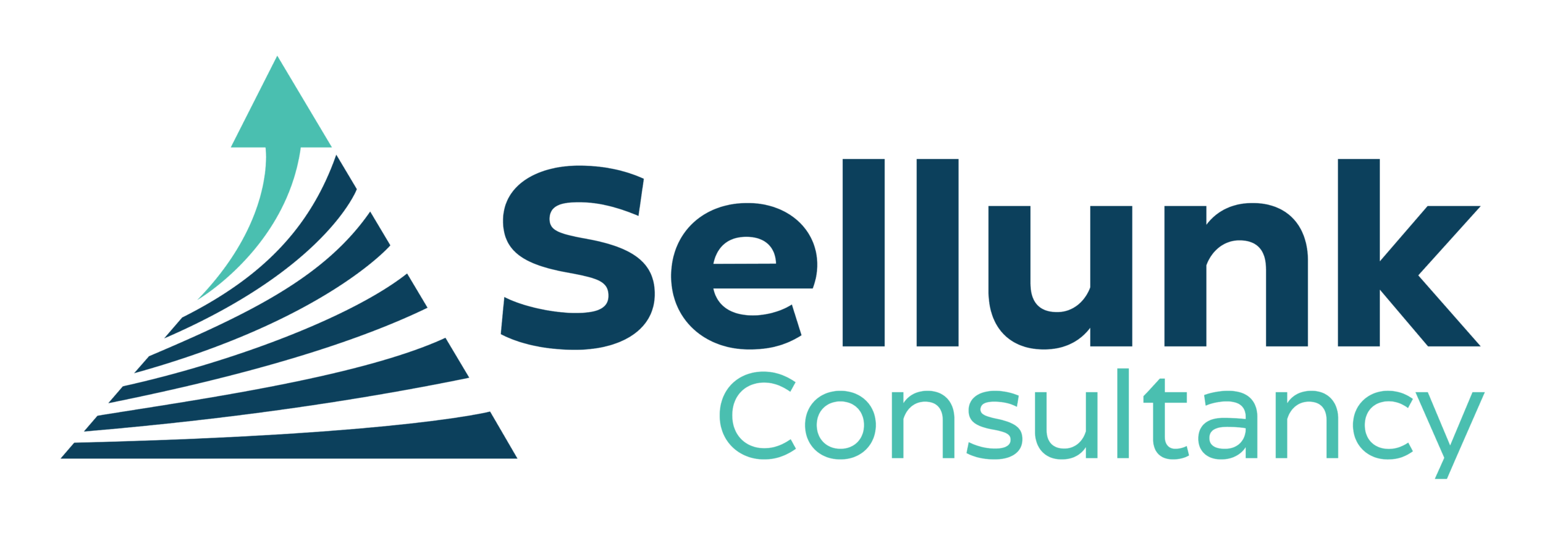 Sellunk Consultancy
